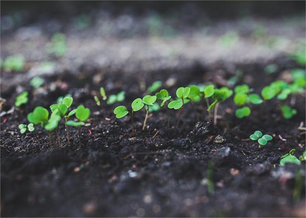 土壤修复行业进入快速成长期   2016年5月,国务院印发《土壤污染防治